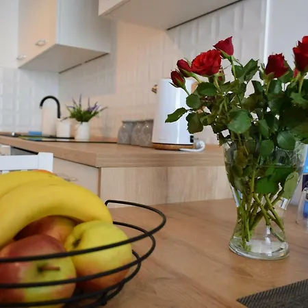 Apartament Anders z Miejscem w Garażu i Rowerami-2